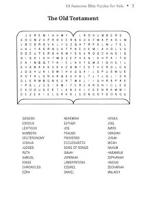 101 Awesome Bible Puzzles For Kids By Steve Becky Miller At Eden