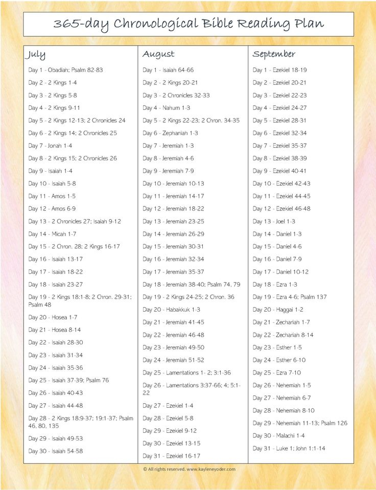 365 day Chronological Bible Reading Plan Kaylene Yoder Bible 