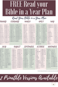 Adaptable Read The Bible In A Year Chronological Printable Wade Website