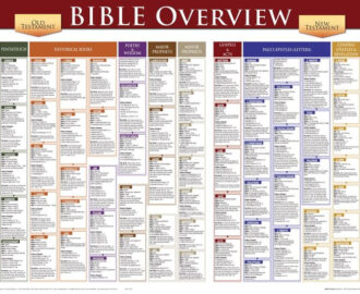 Amazon Bible Overview Wall Chart Bible Overview Chart