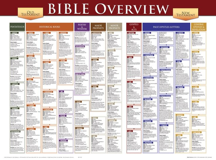 Amazon Bible Overview Wall Chart Bible Overview Chart 