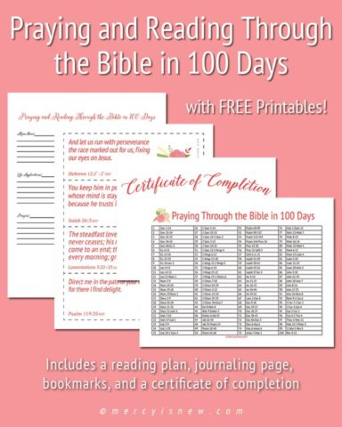 Bible In 100 Days FINISH 