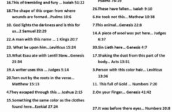 Bible Scavenger Hunt Worksheet Lovely Scavenger Hunt We Used For Summer