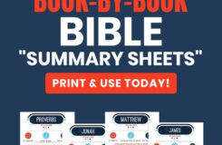 Books Of The Bible At a Glance Printables In 2020 Bible Summary