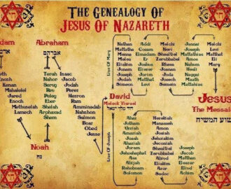 Genealogy Of Jesus Source The Catholic Study Fellowship Bible