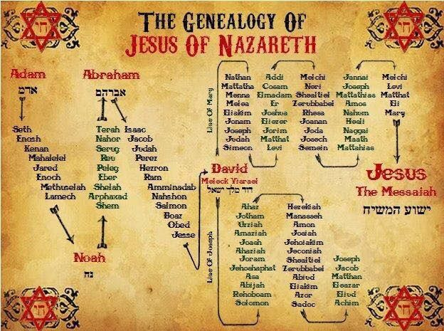 Genealogy Of Jesus Source The Catholic Study Fellowship Bible 