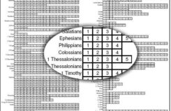 MW Bible Reading Record Printable Checklist By Chapters Read