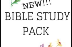 NEW Bible Study Printable Pack FREE Sarah E Frazer
