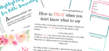 Nicki Drake Crazy Simple Truth Bible Study Freebies
