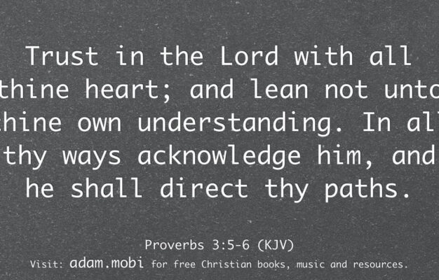 Proverbs 3 5 6 KJV Bible Verse Trust Faith Scripture Christian Video