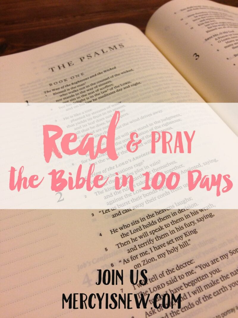 Read The Bible In 100 Days