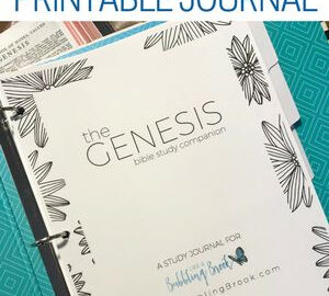 The GENESIS Bible Study Companion Printable Journal Bubbling Brook