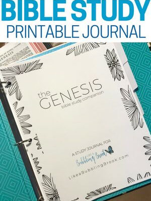 The GENESIS Bible Study Companion Printable Journal Bubbling Brook