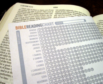 The Things Hannah Loves Bible Reading Chart