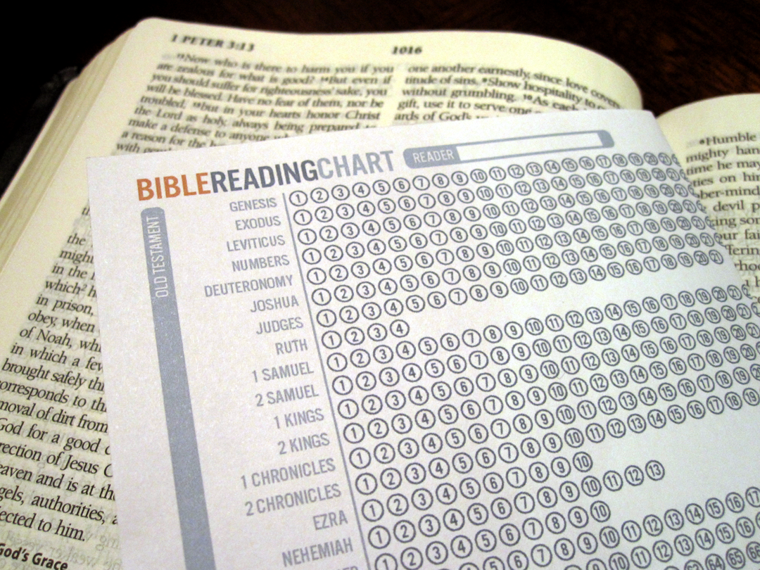 The Things Hannah Loves Bible Reading Chart