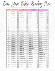 1 Year Bible Plan Etsy