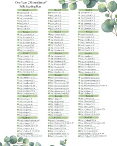 1 year Chronological Bible Reading Plan Daily Christian Printable Floral Minimalist Checklist PDF Download BONUS Tracker Notes Page Etsy