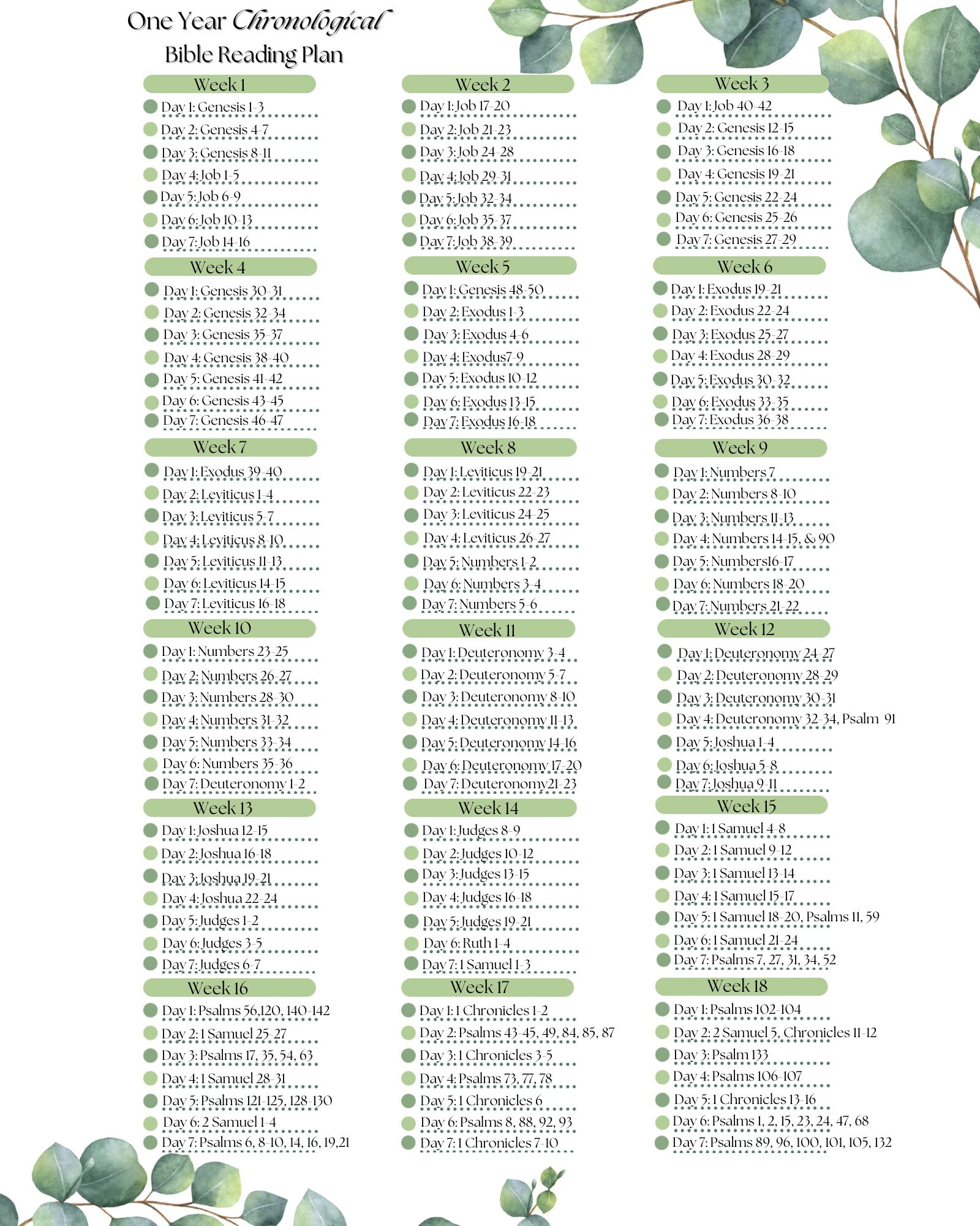 1 year Chronological Bible Reading Plan Daily Christian Printable Floral Minimalist Checklist PDF Download BONUS Tracker Notes Page Etsy