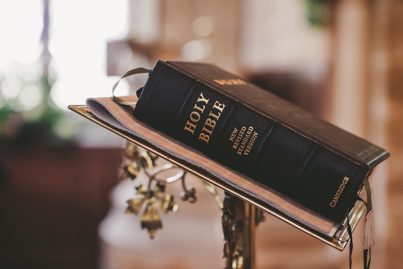 10 000 Free Holy Bible Bible Images Pixabay