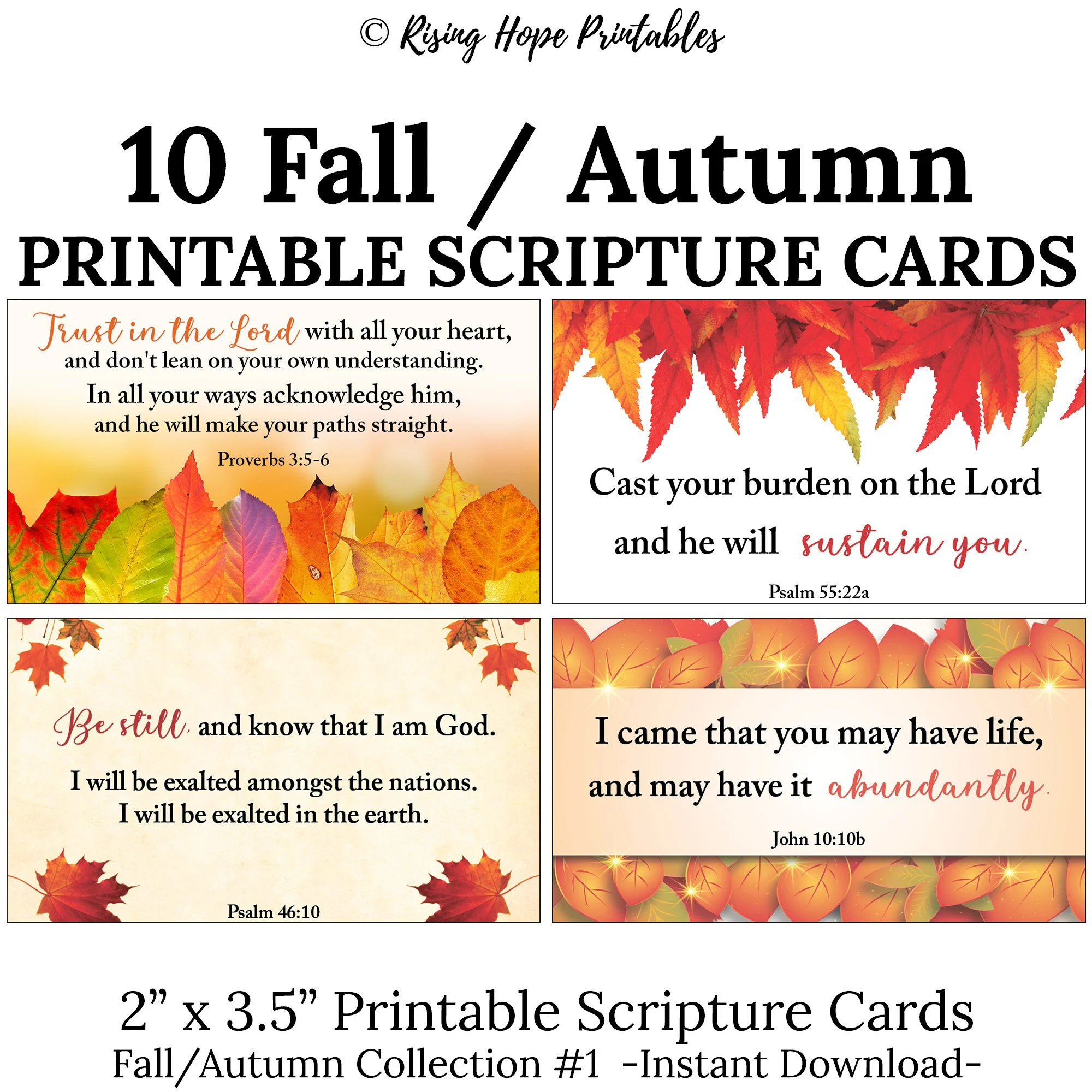 10 Fall Autumn Printable Scripture Cards C1 INSTANT DOWNLOAD Fall Autumn Leaf Illustration Bible Verses Printable Mini Card Art Set Of 10 Etsy