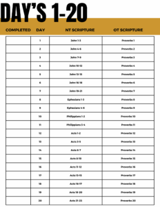 100 Day Bible Reading Plan