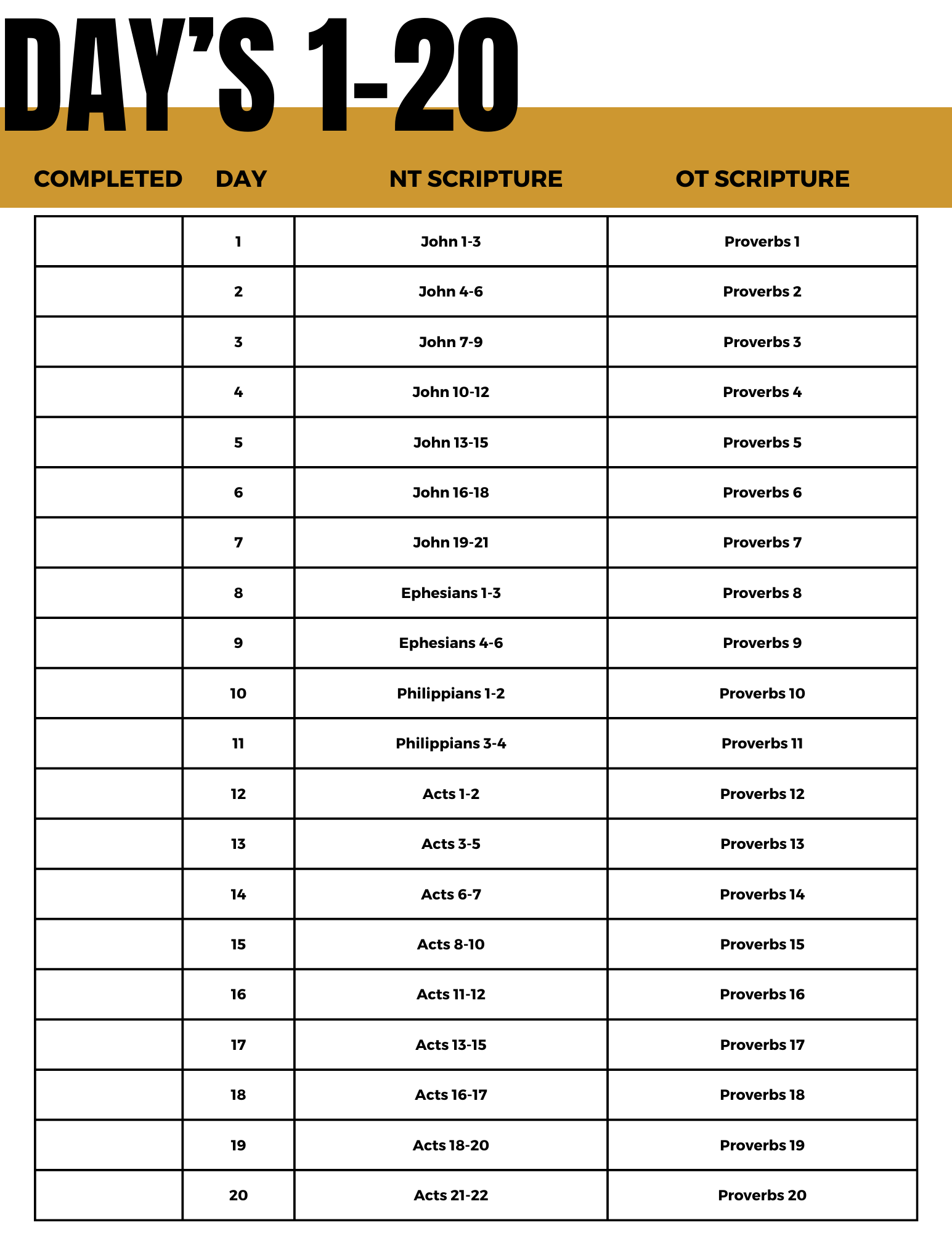 100 Day Bible Reading Plan