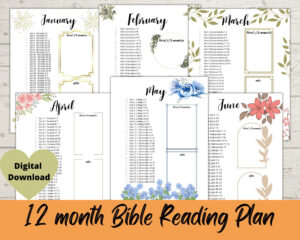 12 Month Bible Reading Plan Chronological Bible Reading Plan Printable Bible In One Year One Year Bible Reading Plan Printable Download Etsy