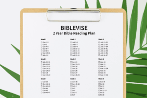 2 Year Bible Reading Plan With Printable PDF