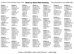 2021 bible reading plan south fork church