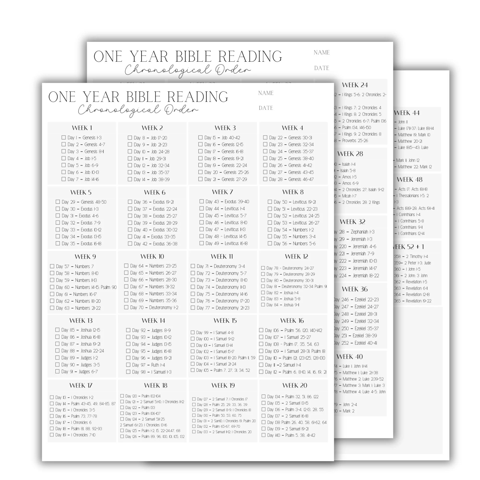 2025 Bible Reading Tracker 1 Year Bible Reading Plan 52 Week Daily Bible Reading Plan Chronological Bible Reading Checklist Digital Download Etsy