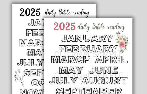 2025 DAILY SCRIPTURE READING Tracker Coloring In Days Reading The Bible Bible Tracker Daily Bible Reading Tracker Printable Pdf Etsy
