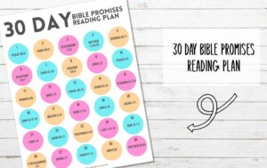 30 Day Bible Promises Reading Plan My Printable Faith