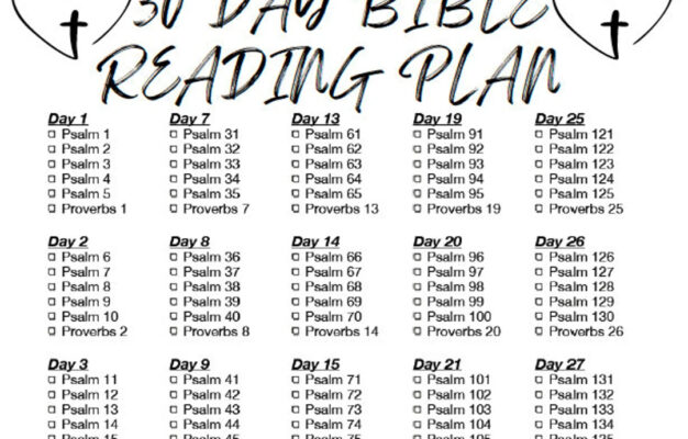 30 Day Bible Reading Plan Psalms And Proverbs Etsy