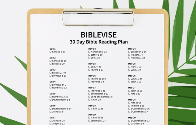 30 Day Bible Reading Plan With Printable PDF