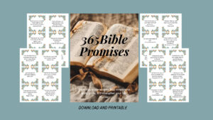 365 Bible Promises From Scripture Etsy