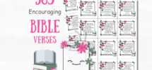 365 Bible Verse Scripture Cards Bible Study Christian Stickers Bible Journaling Daily Verse Cards Printable Quotes Cards Bible Quotes Etsy