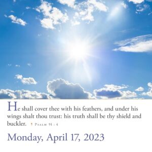 365 Bible Verses A Year Page A Day 2023 Timeless Words From The Bible To Guide Comfort And Inspire Workman Calendars 9781523515585 Amazon Books