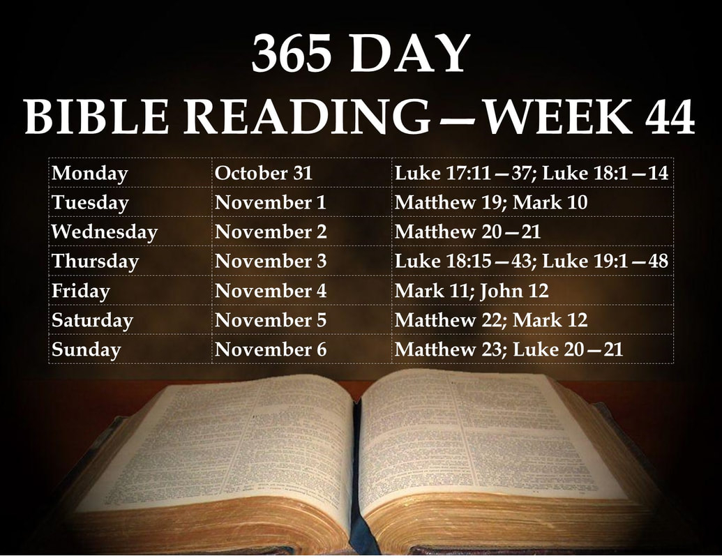365-Day Bible Reading Schedule Printable