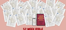 365 Day Bible Reading Plan PDF Summaries Reflection Questions Payhip