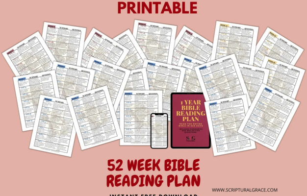 365 Day Bible Reading Plan PDF Summaries Reflection Questions Payhip