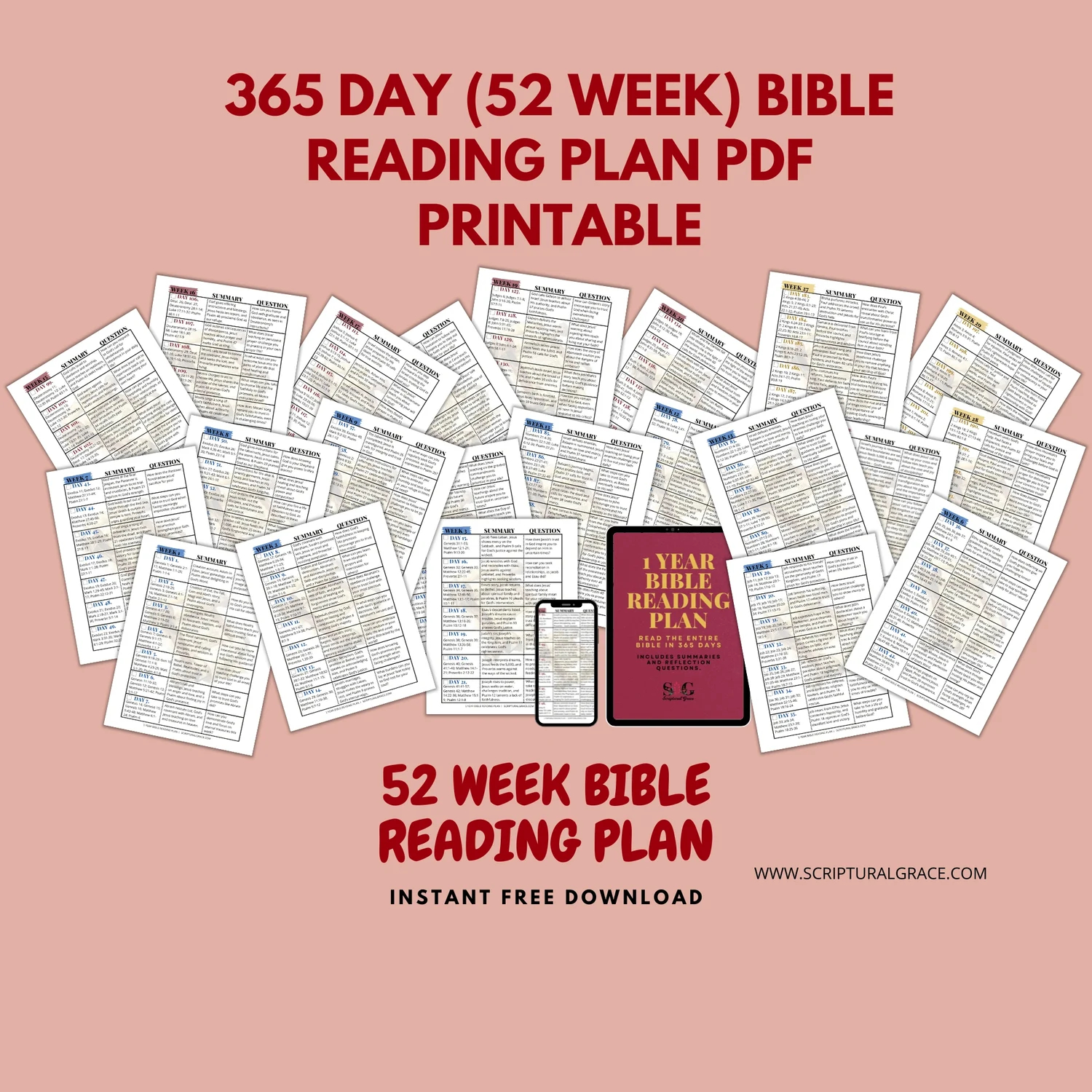 365 Day Bible Reading Plan PDF Summaries Reflection Questions Payhip