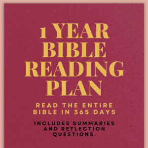 365 Day Bible Reading Plan PDF Summaries Reflection Questions Payhip