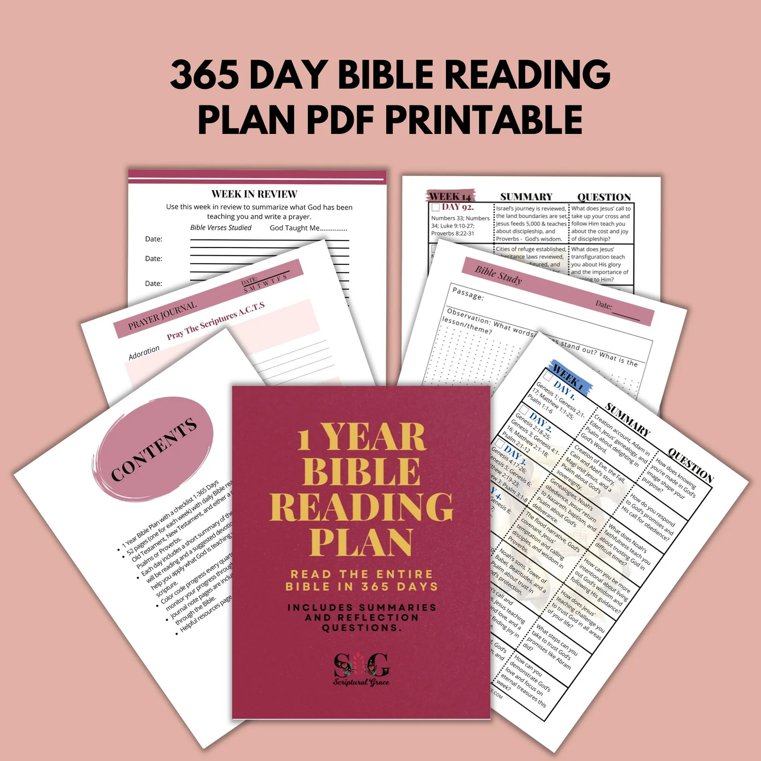 365 Day Bible Reading Plan PDF Summaries Reflection Questions Payhip