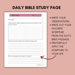365 day bible reading plan pdf summaries reflection questions payhip