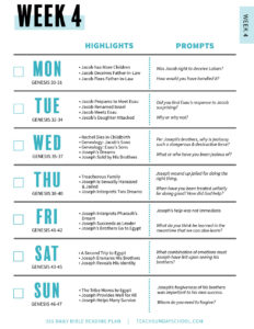 365 Day Bible Reading Plan Teach Sunday School
