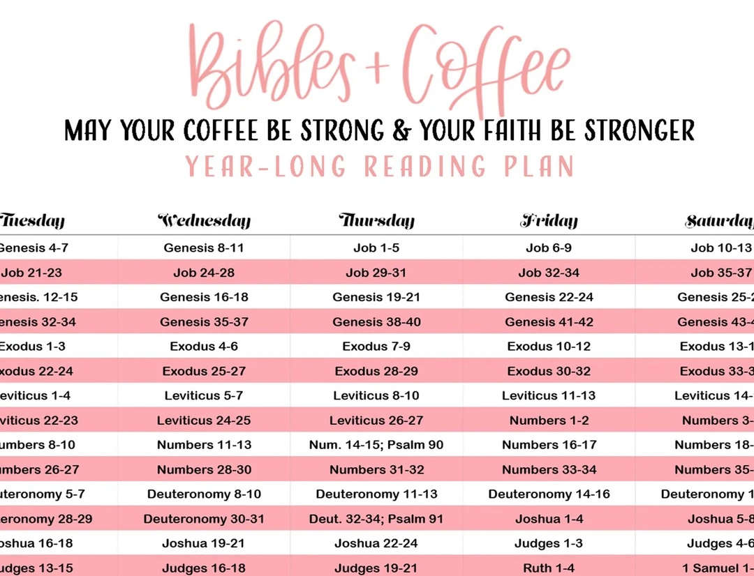 365 Day Chronological Bible Reading Plan digital Download Etsy