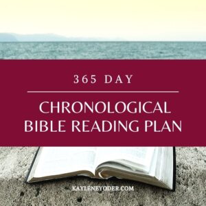 365 day Chronological Bible Reading Plan Kaylene Yoder