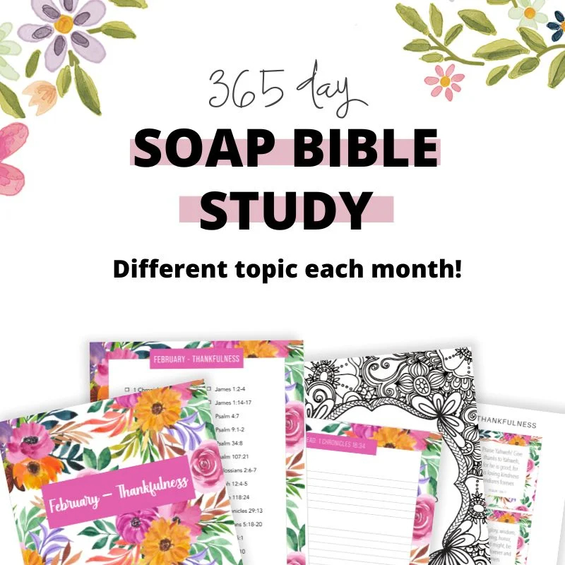365 Day SOAP Bible Study