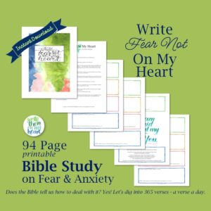 365 Fear Bible Verses Write Them On My Heart