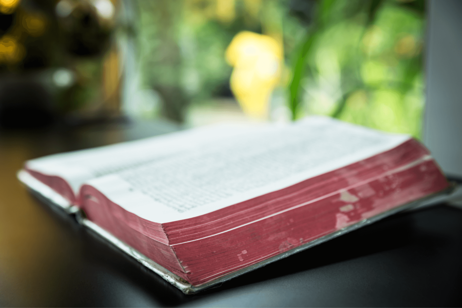 5 Bibles That Would Make Good Gifts For Older Adults